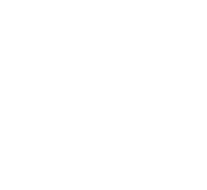 partner race