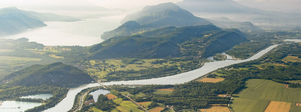 Special Offer Banner