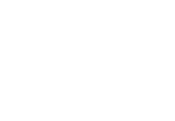 partner race