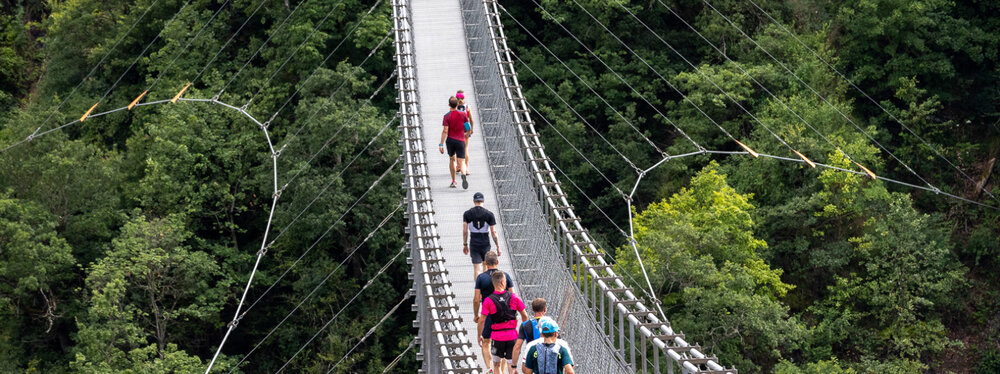 Special Offer Banner