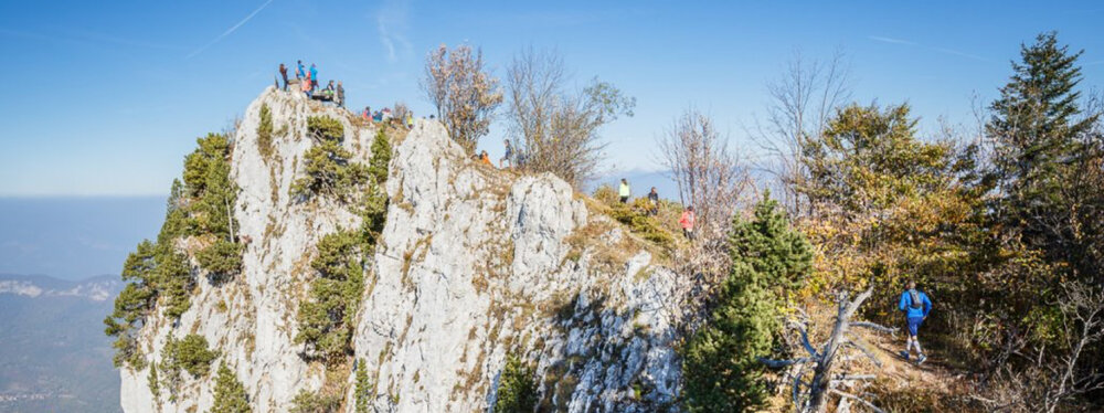 Special Offer Banner