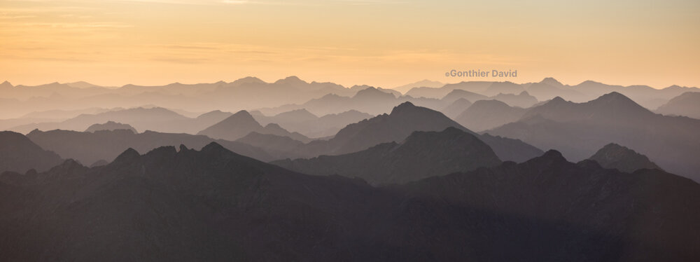 Special Offer Banner