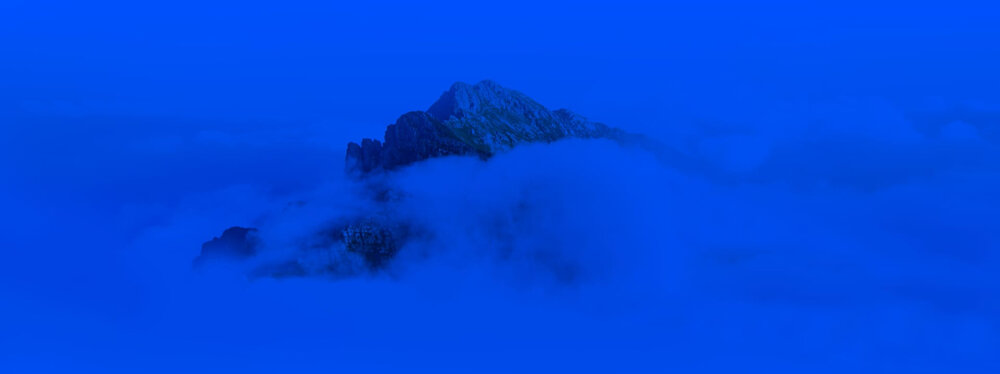 Special Offer Banner