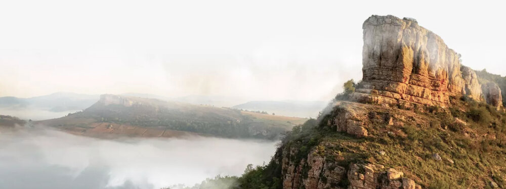 Special Offer Banner